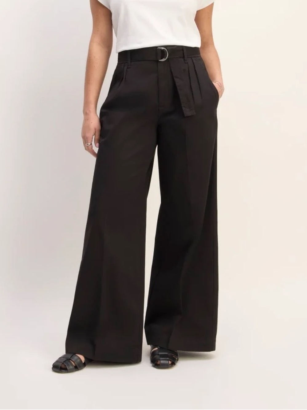 Everlane The Pleated Wide-Leg Chino